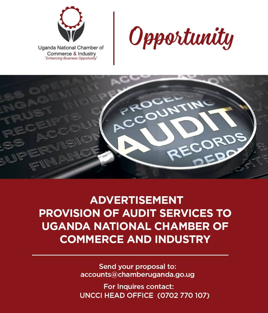 Audit Firm Opportunity 